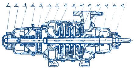 Sectional Drawing, MS